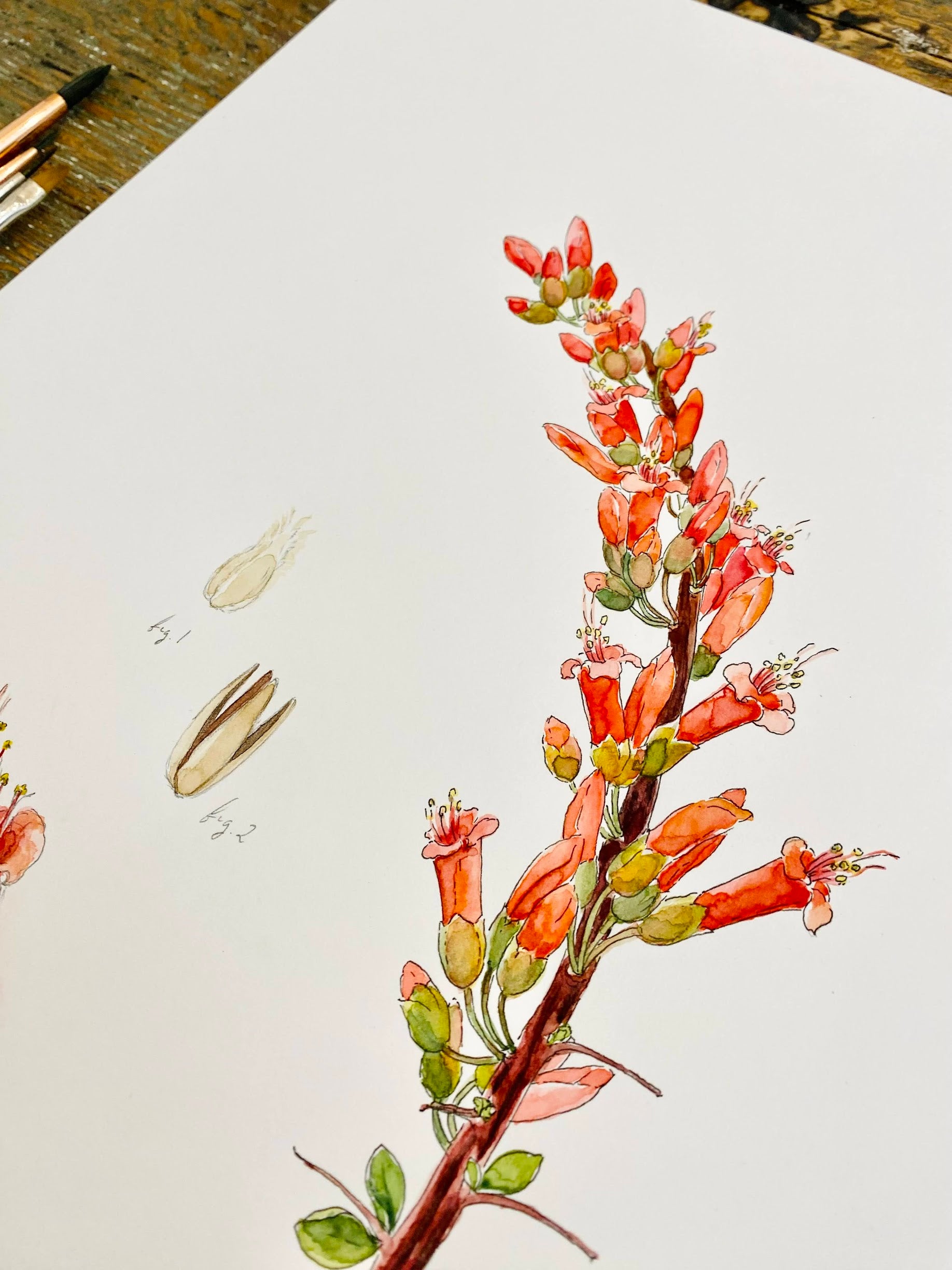 Southwest Botanical Series