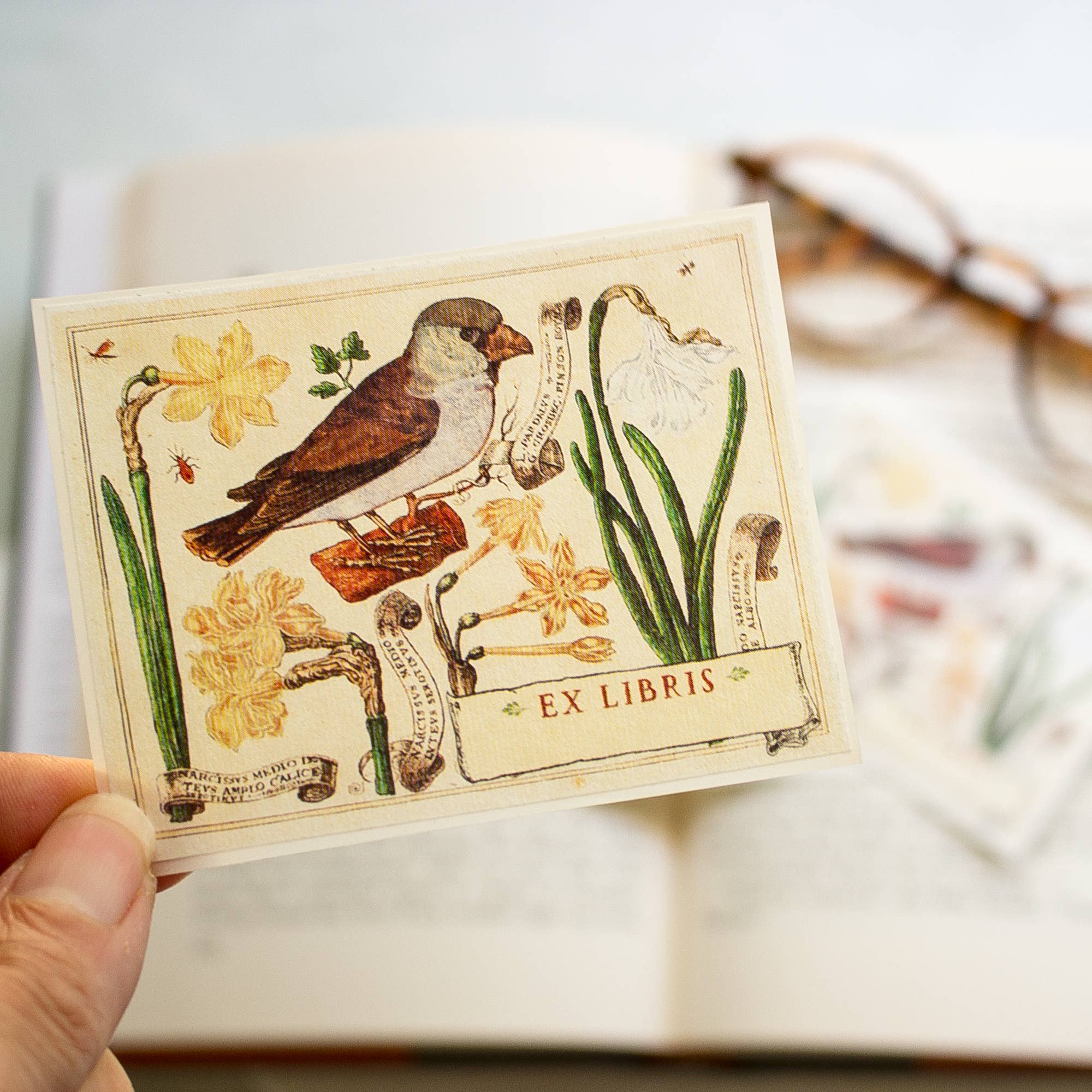 Bird And Daffodils Bookplates