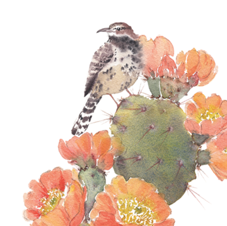 cactus wren perched on a cactus with coral flowers on a white background