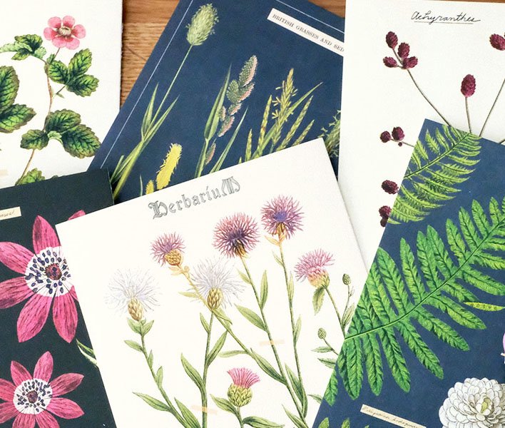 Card Set - Post Cards