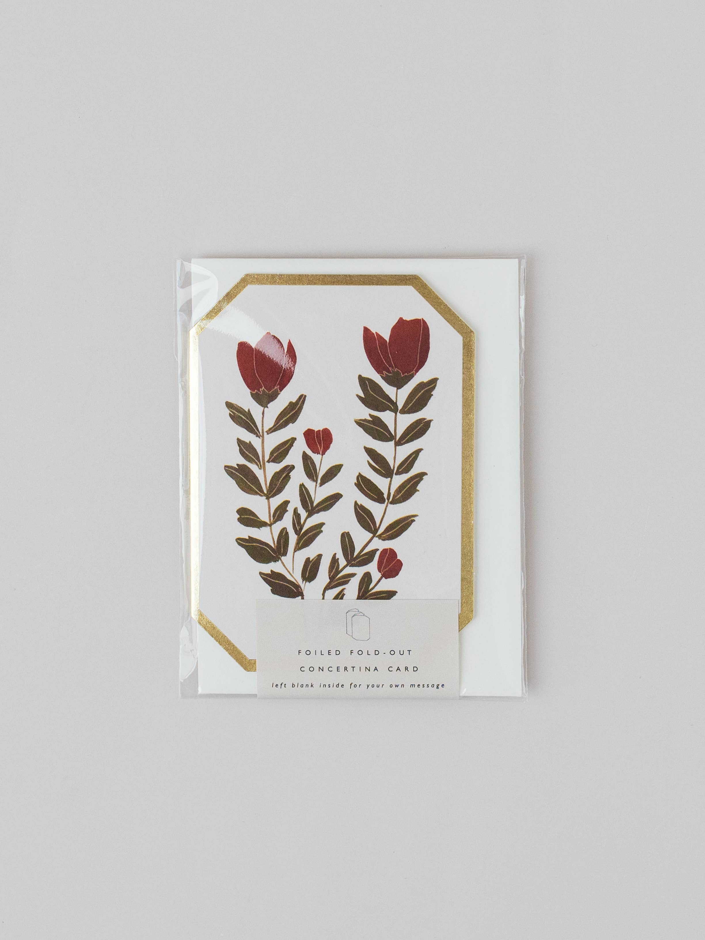 Concertina Botanical Red Flower Mini Card