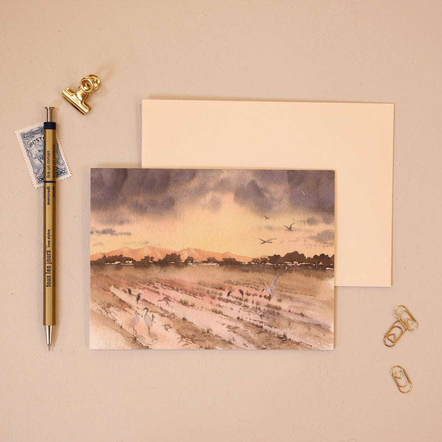 Field of Dreams | Cattle Egrets on Shalem Colony | Greeting Card