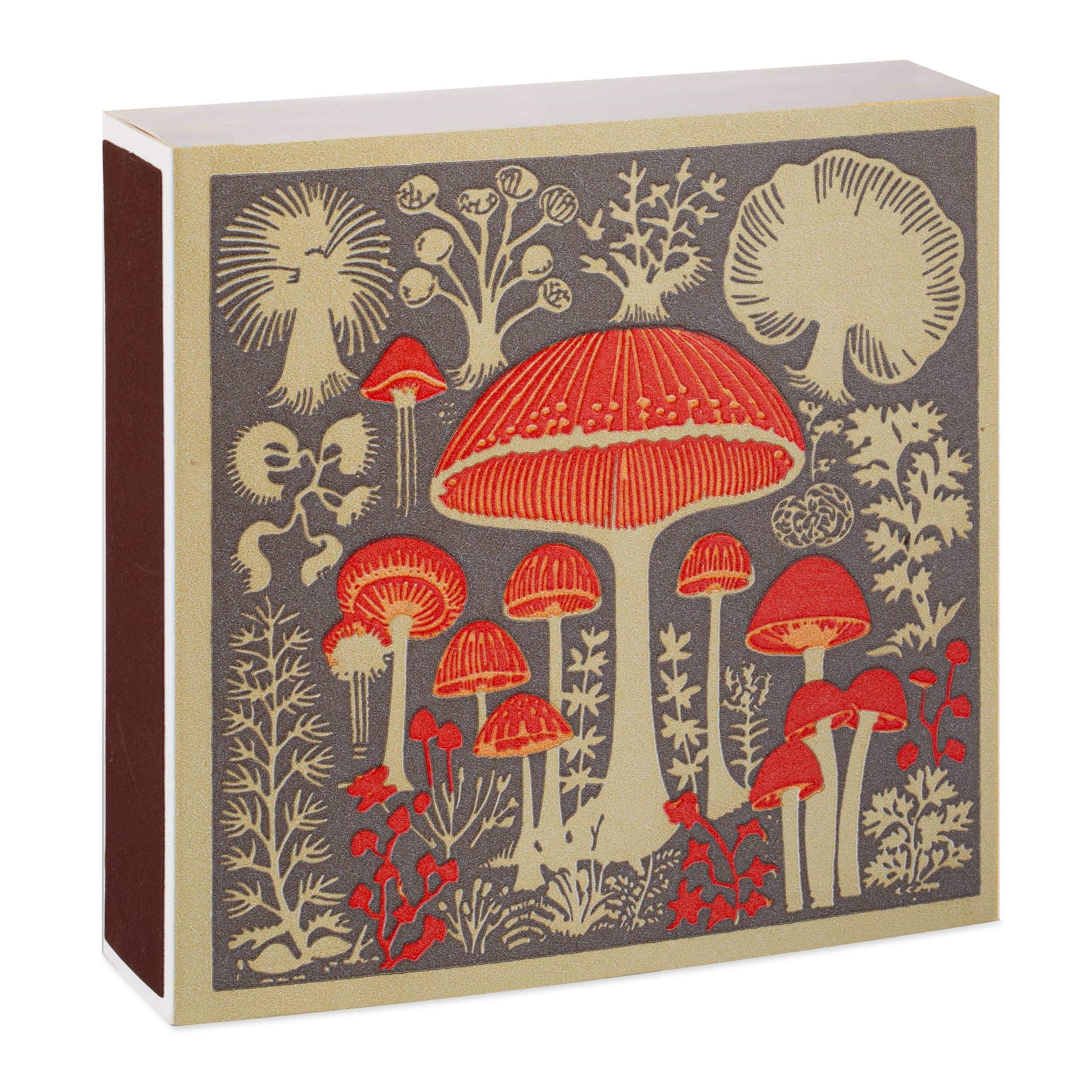 Mushrooms | Safety Matches