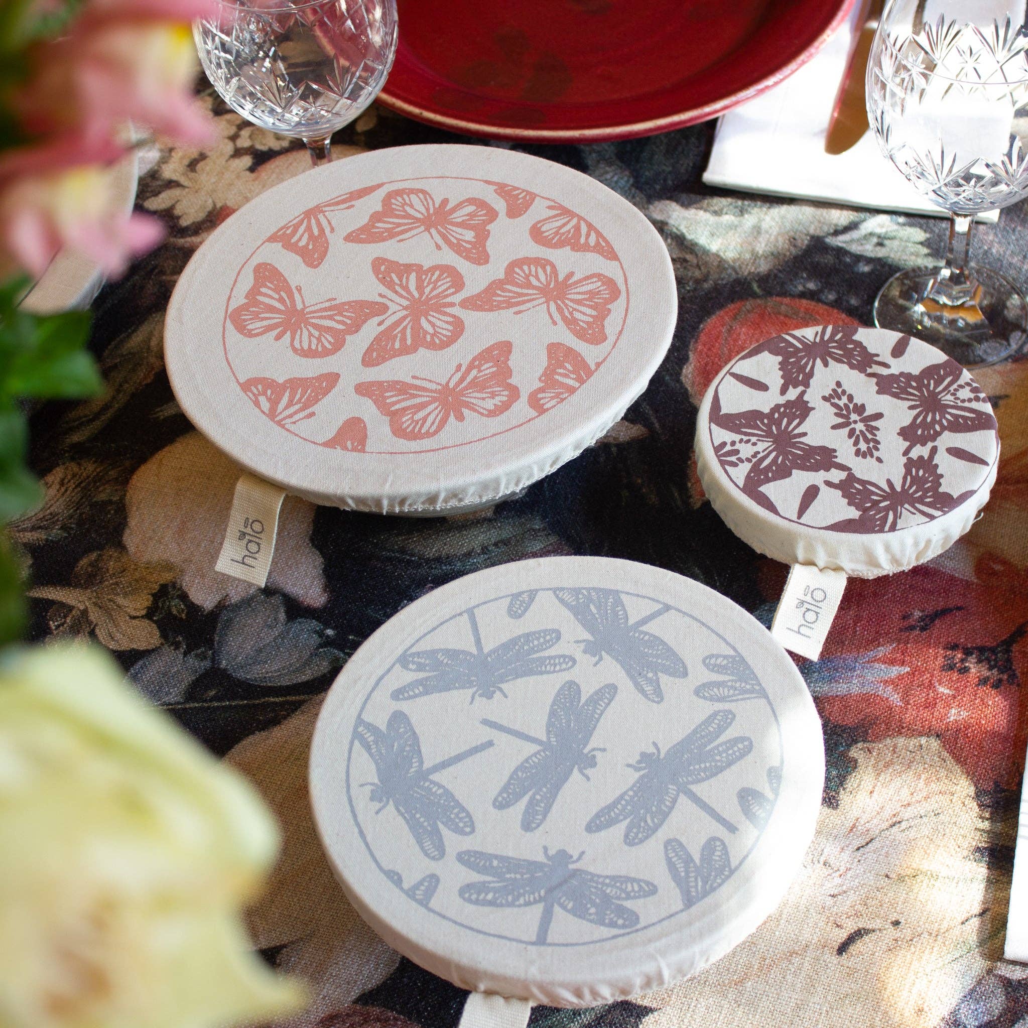 Halo Dish and Bowl Cover | Small | Butterflies and Dragonflies
