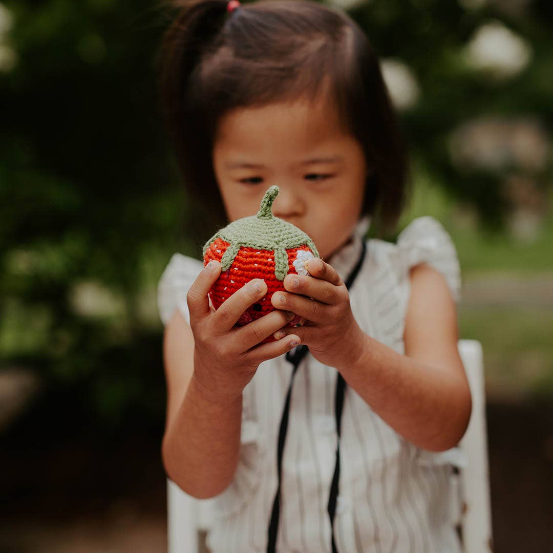 Friendly Plush Strawberry Rattle