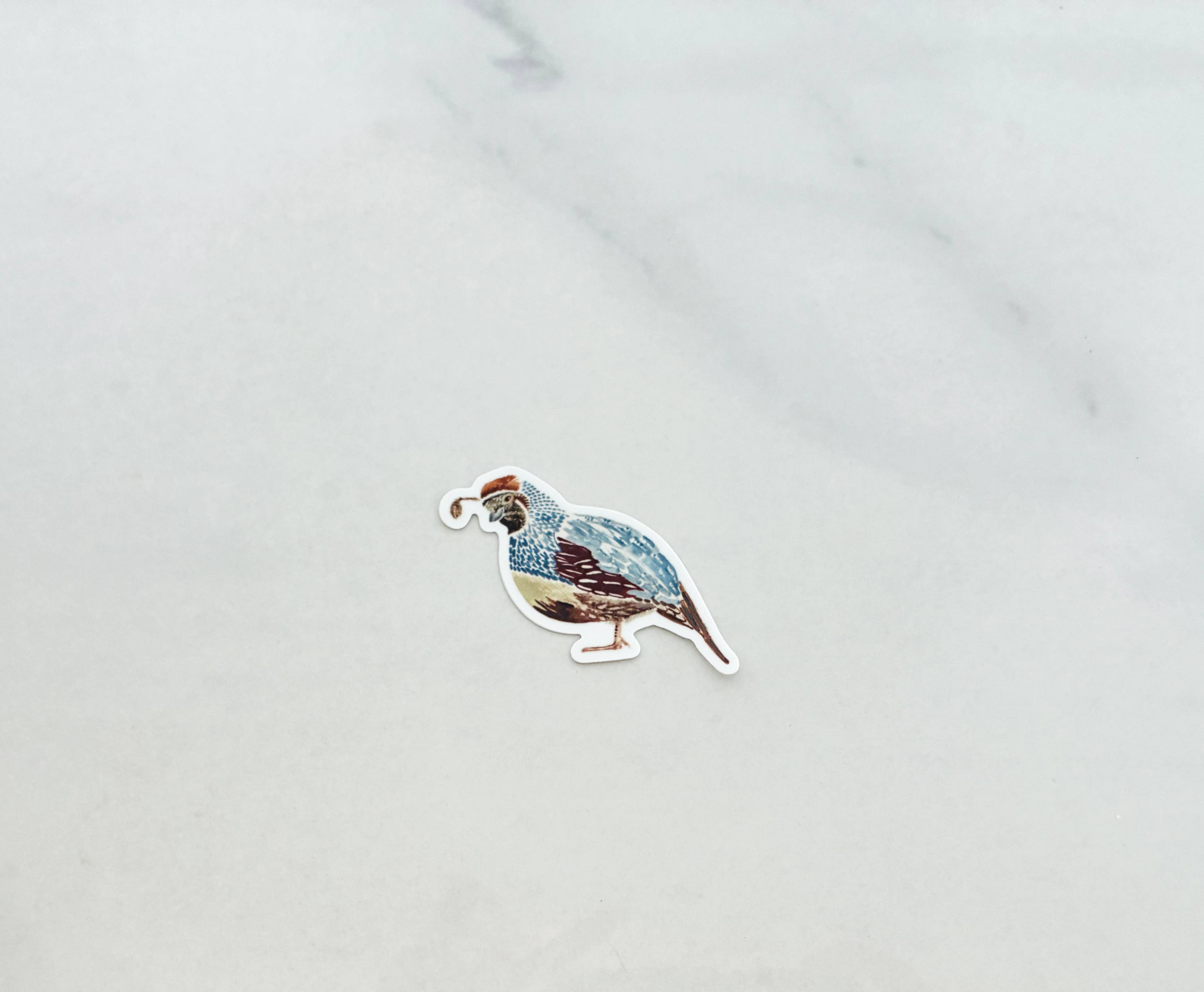 Vinyl Quail Sticker
