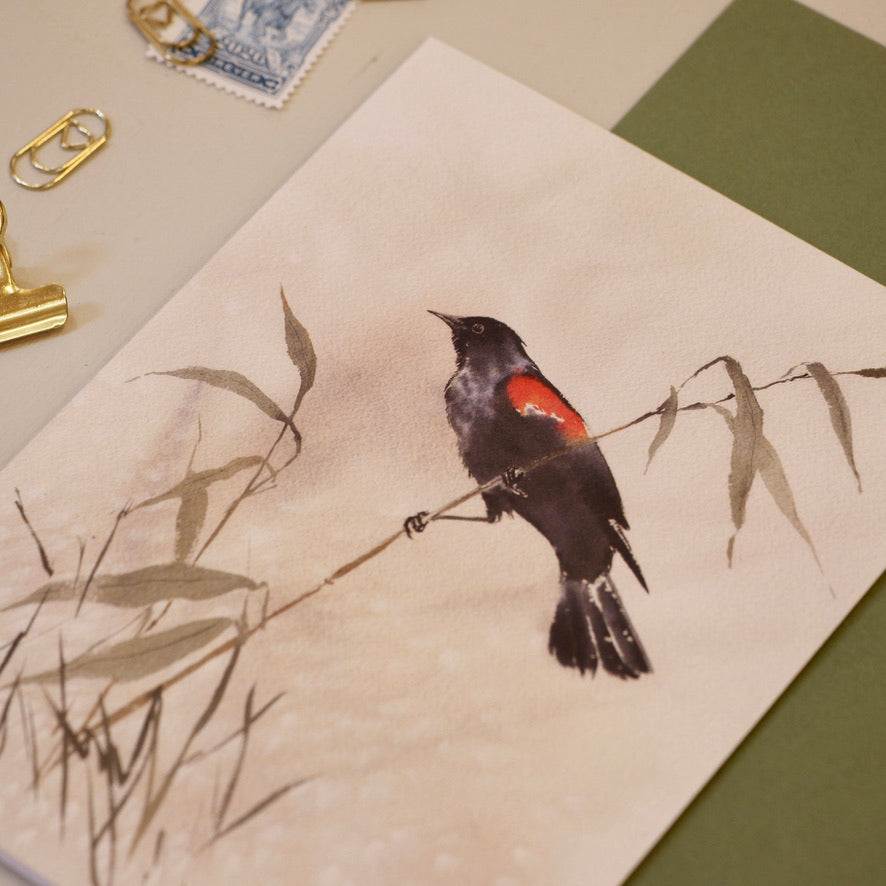 Red-Winged Blackbird | Greeting Card