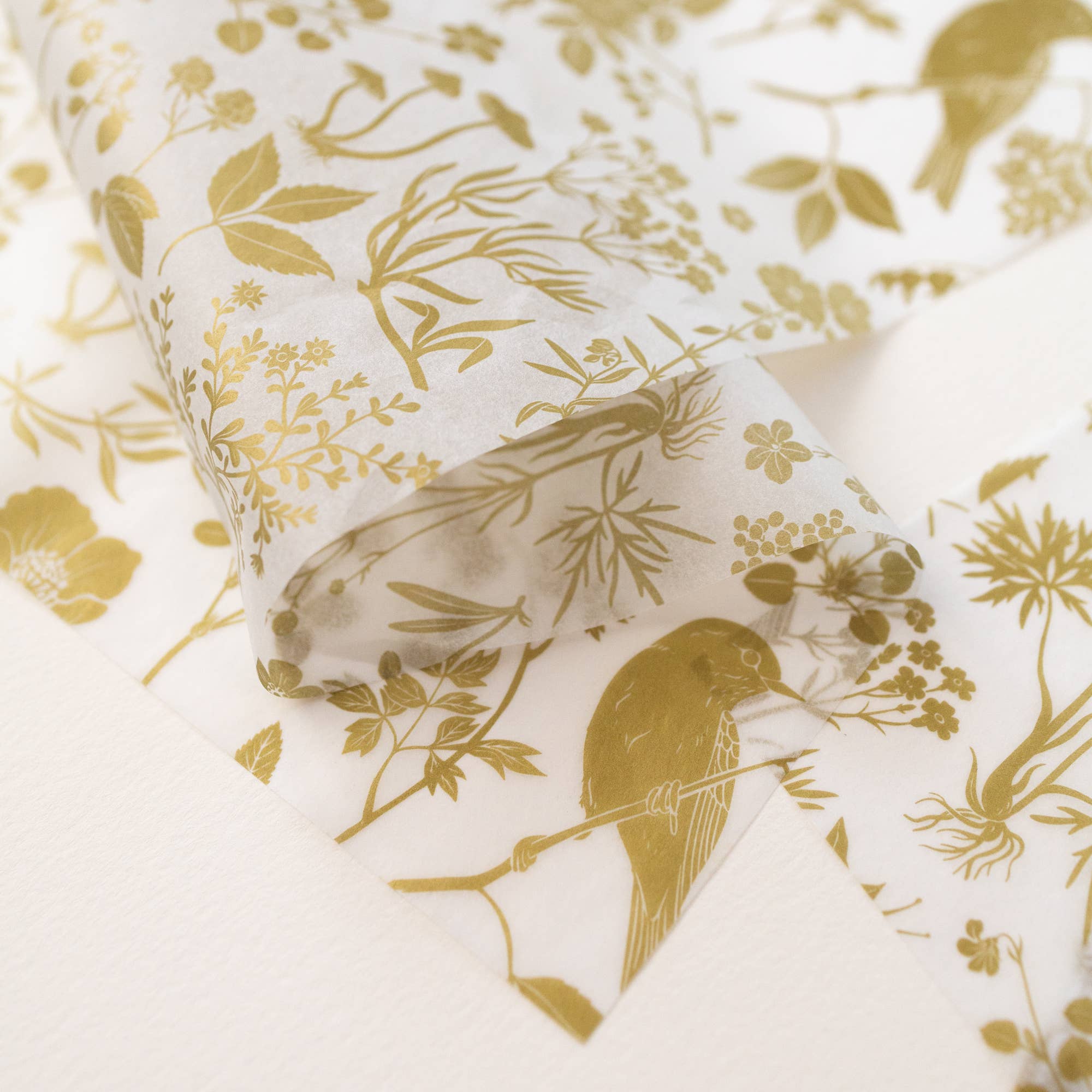 Gold Meadow | Tissue Paper (10 sheets)
