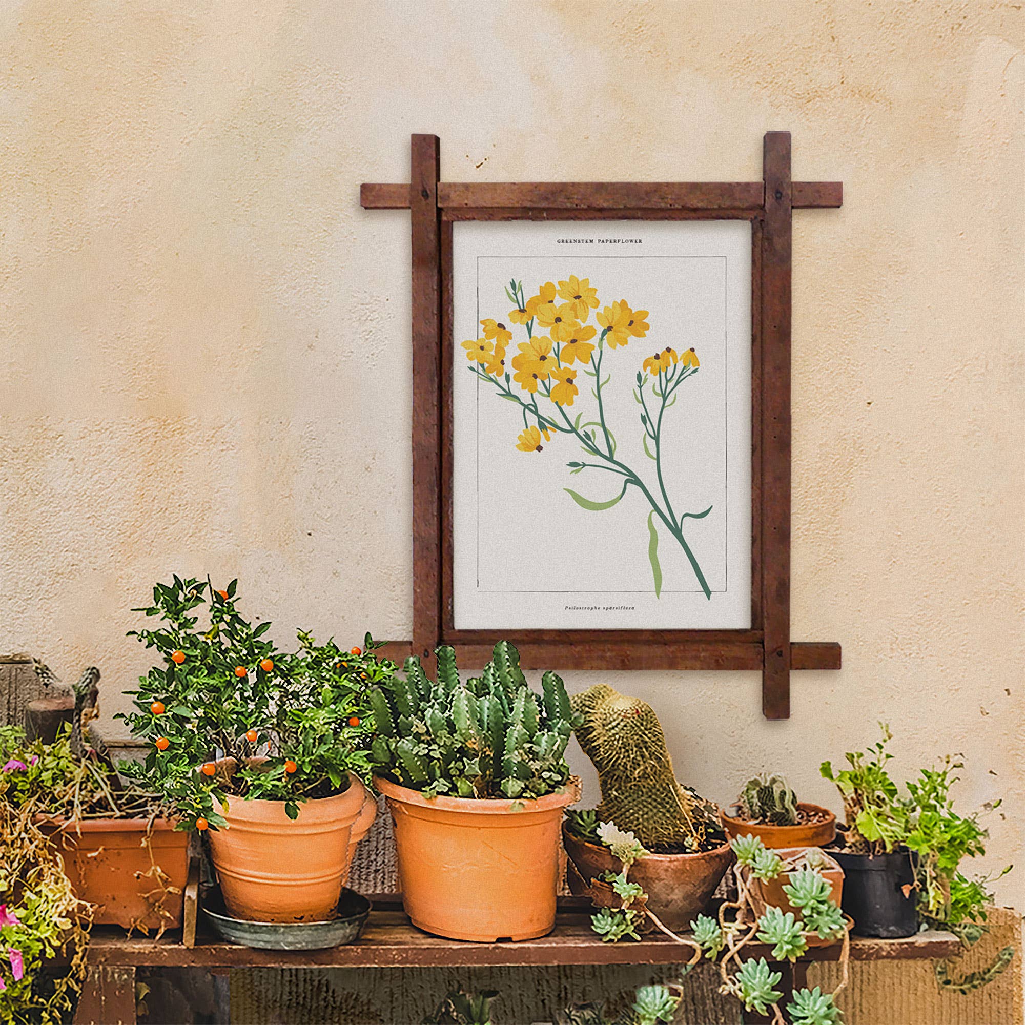 Greenstem Paperflower Botanical | Paint By Numbers Kit