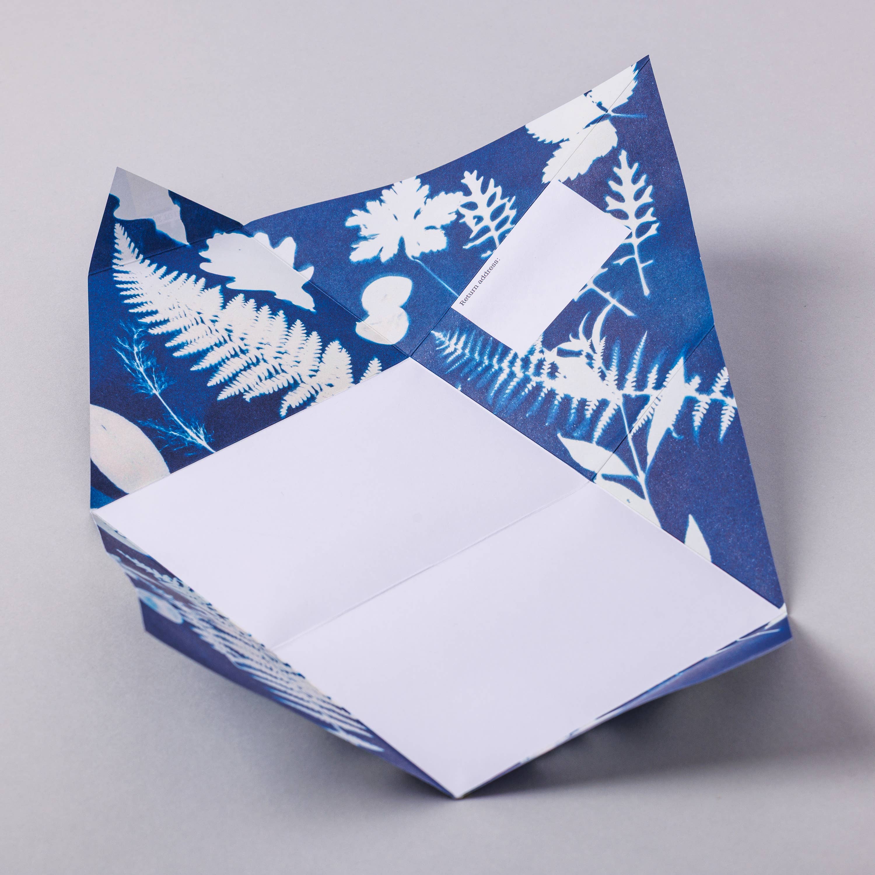 Apothecary Pigeon | Folding Letter Set | Pack of 6