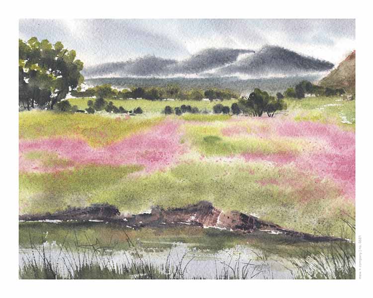 Art Print - Pasture in the Gila No. 0681