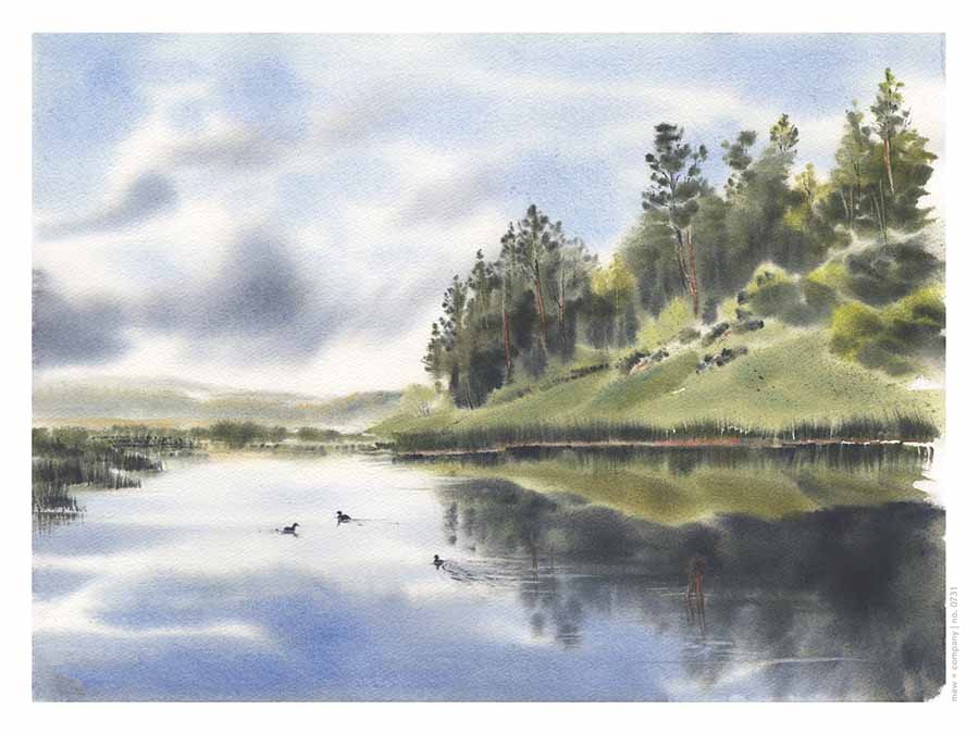 Art Print - A Swim in the Gila No. 0730