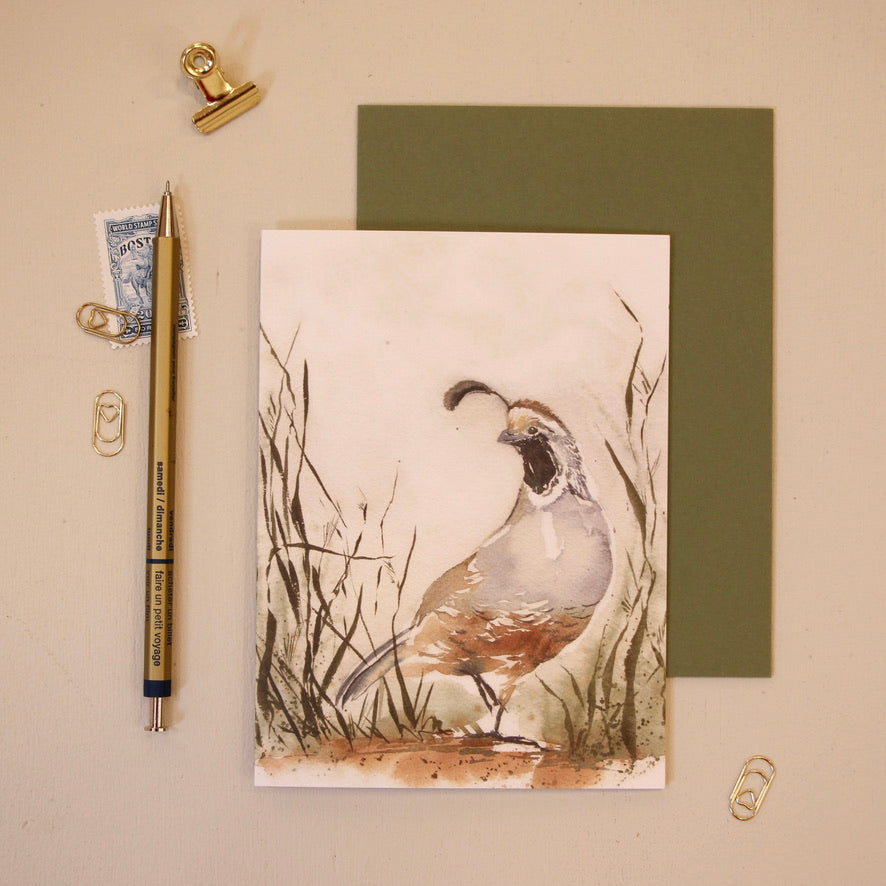 Gambel's Quail | Greeting Card