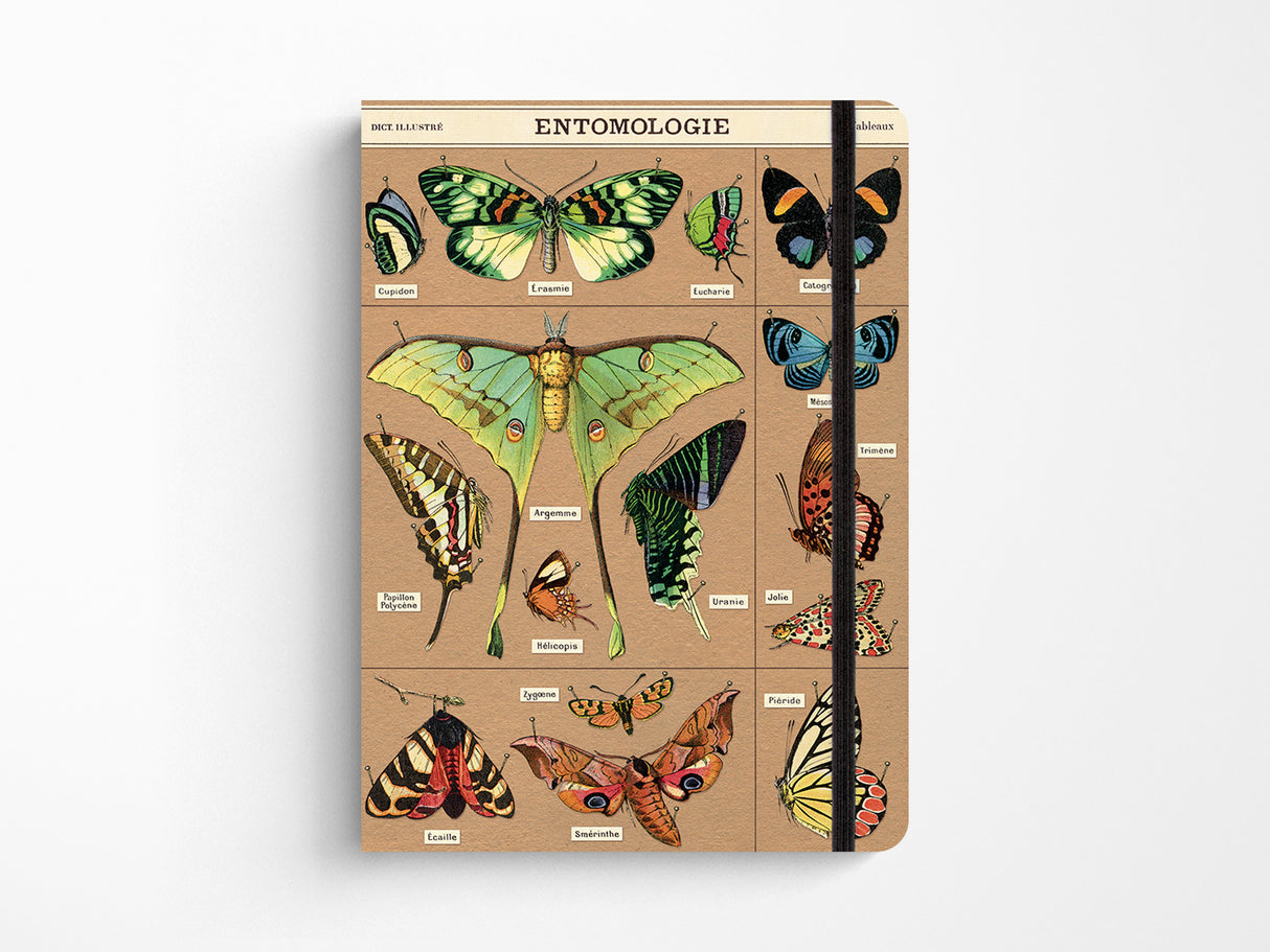 Entomology Large Notebook