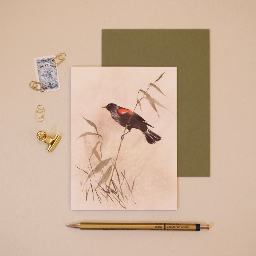 Red-Winged Blackbird | Greeting Card