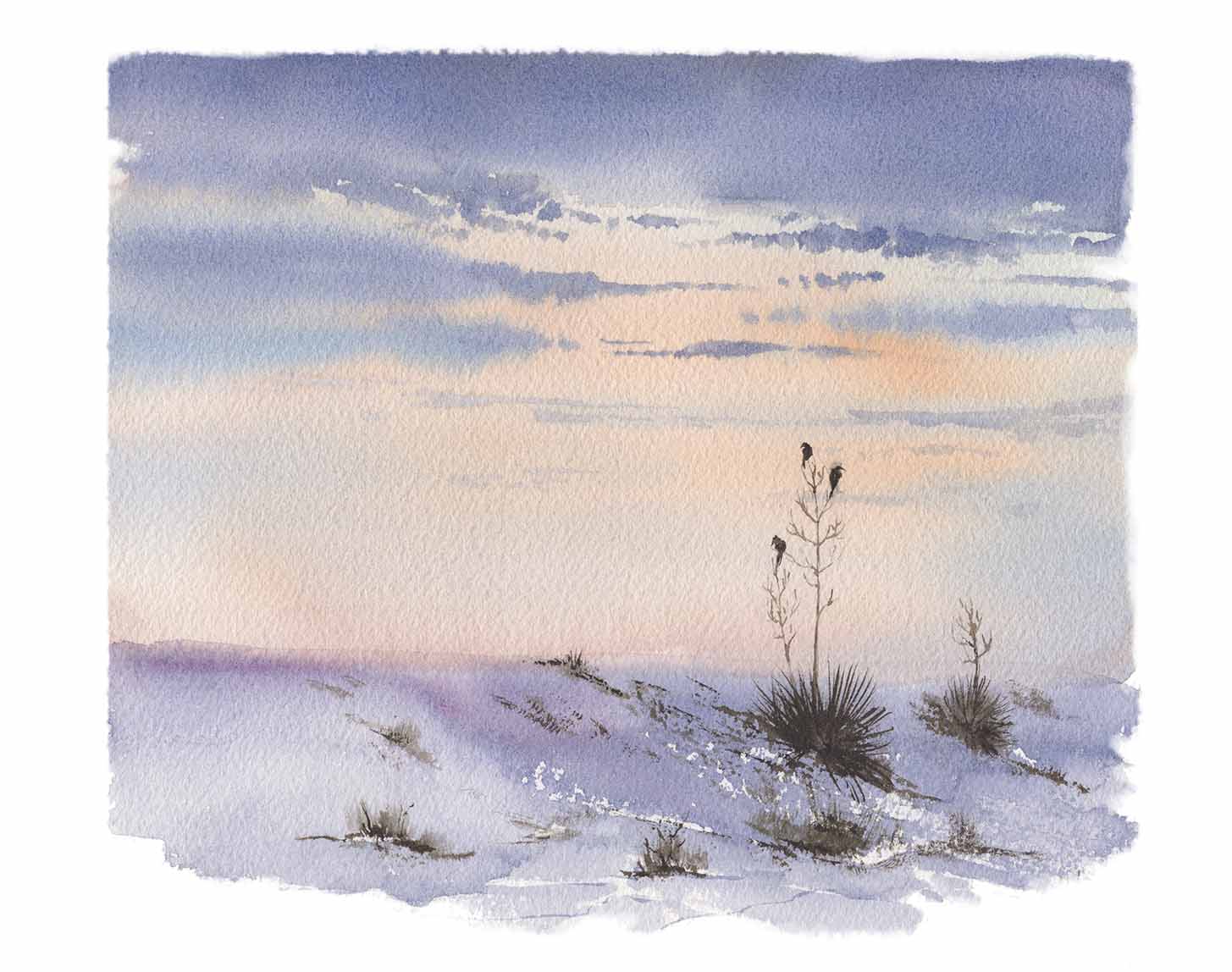 Art Print - White Sands No. 0320