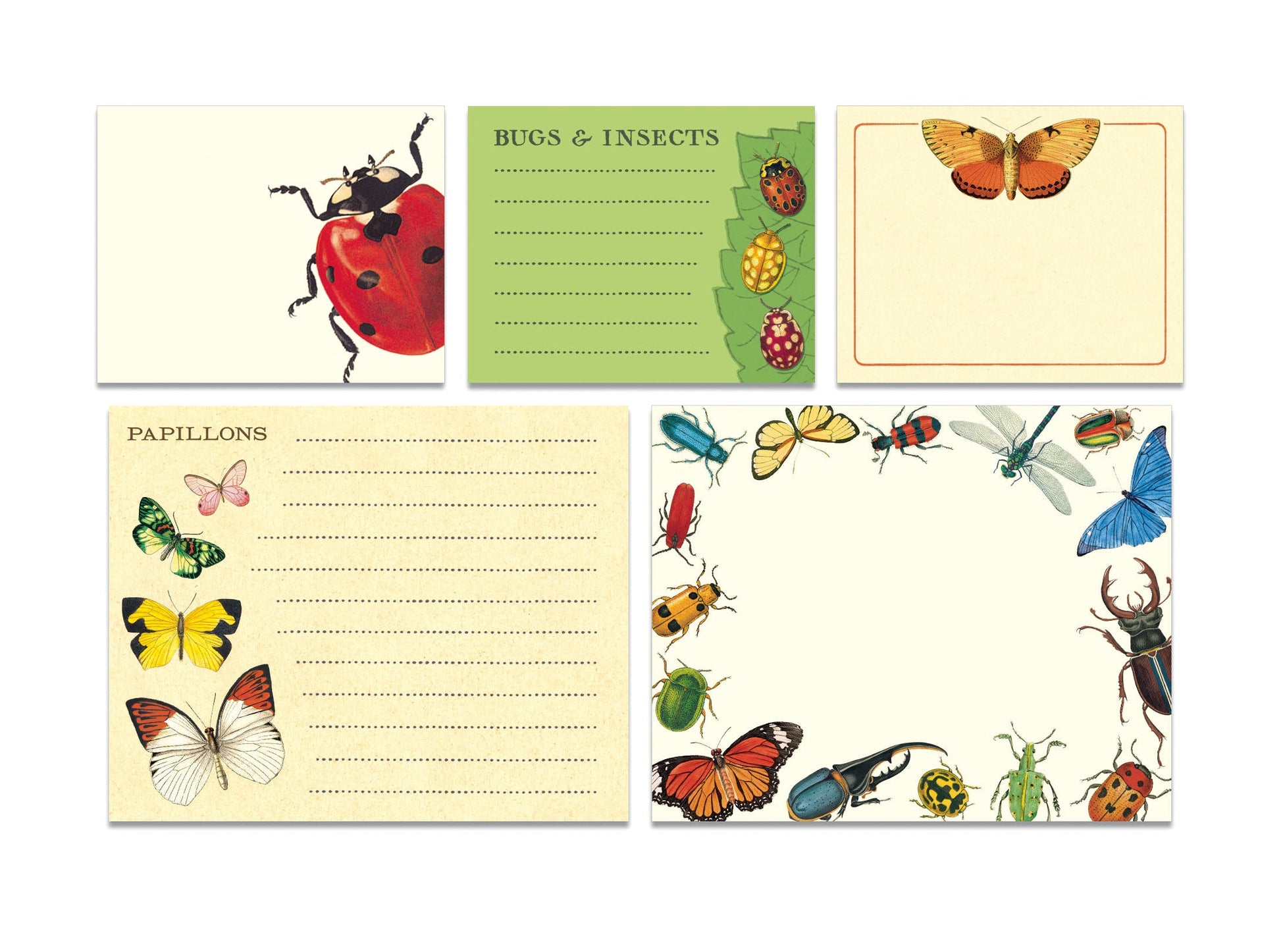 Cavallini Bugs & Insects Sticky Notes Tin