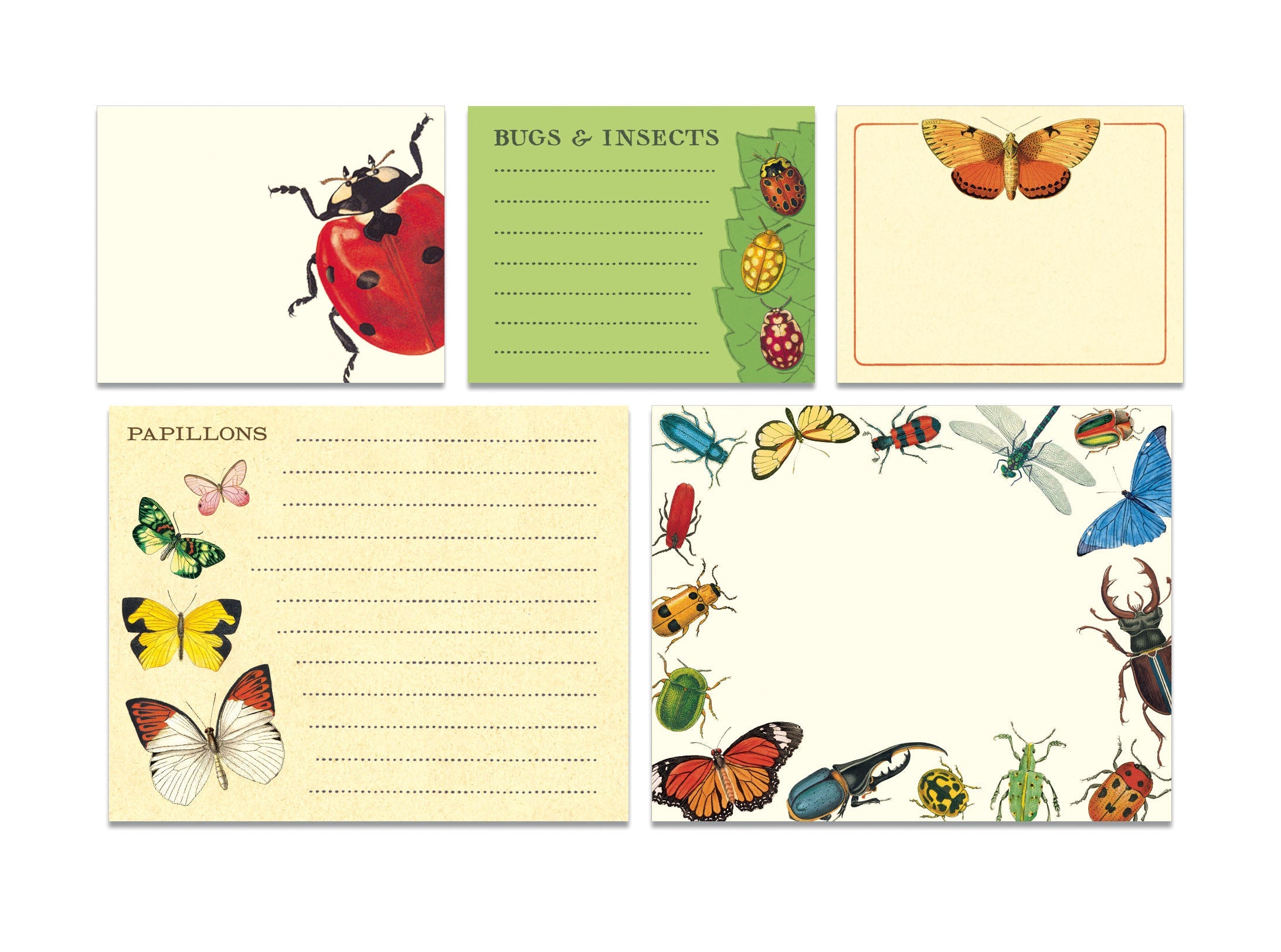 Cavallini Bugs & Insects Sticky Notes Tin