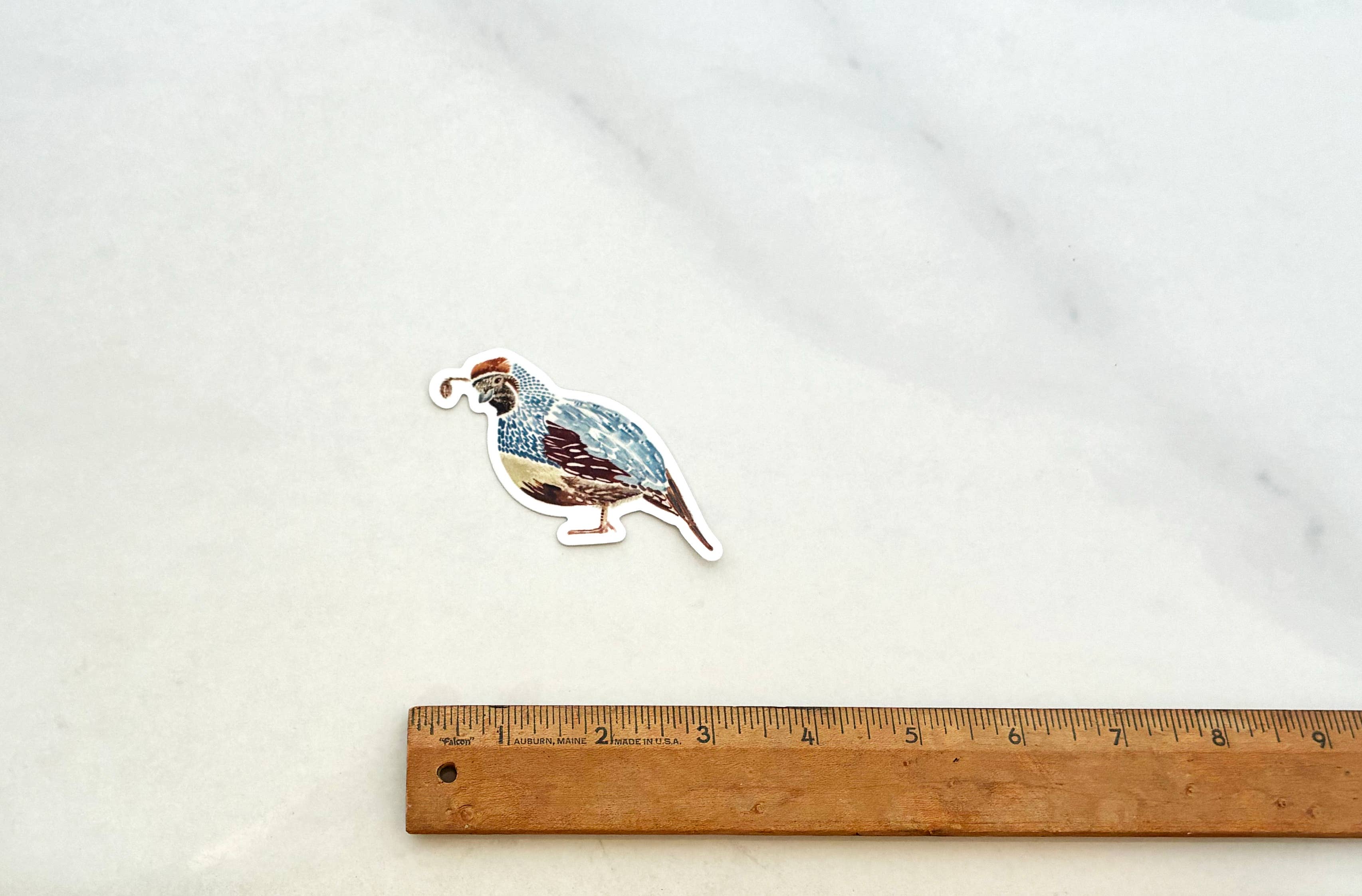 Vinyl Quail Sticker