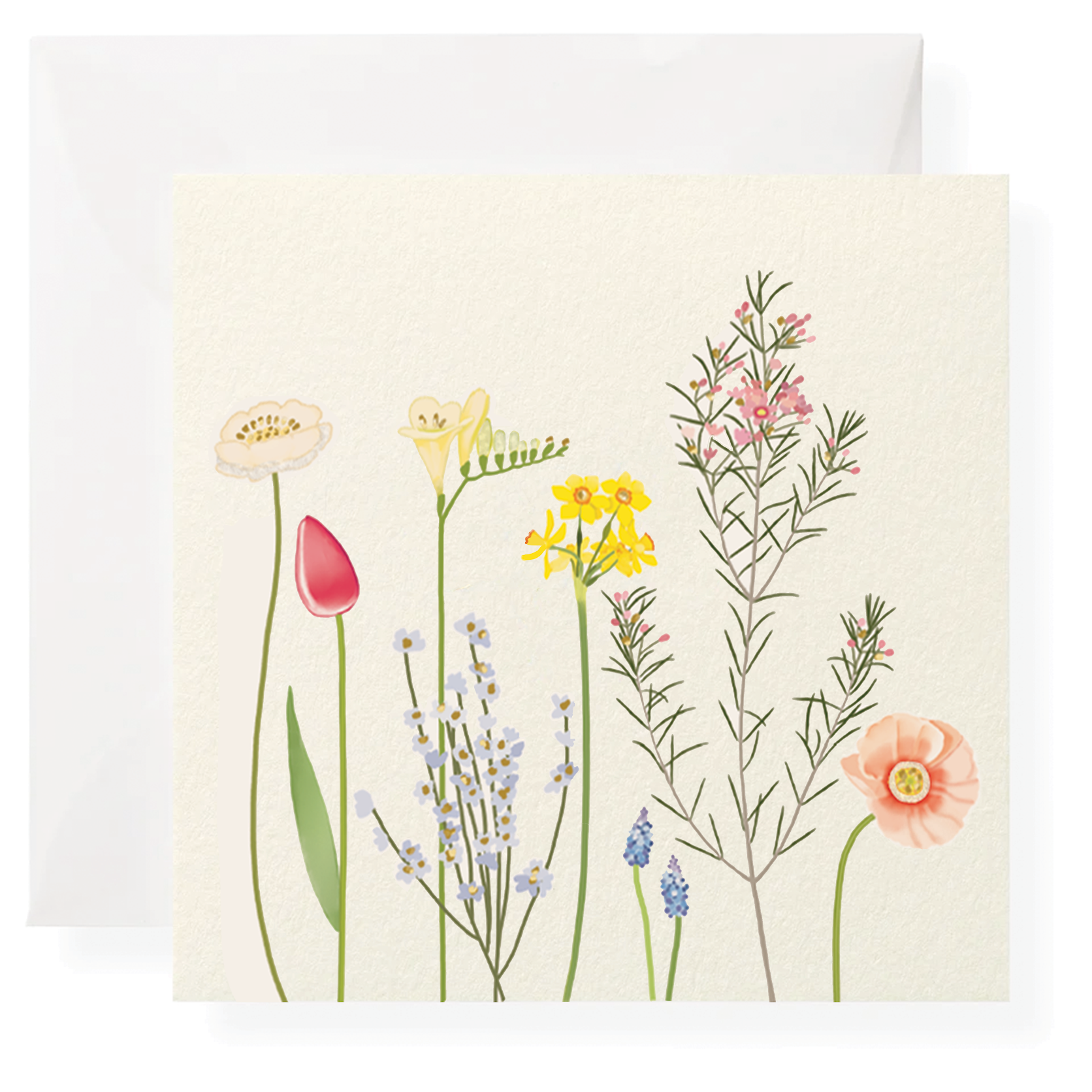 Rue de Fleur Individual Gift Enclosure