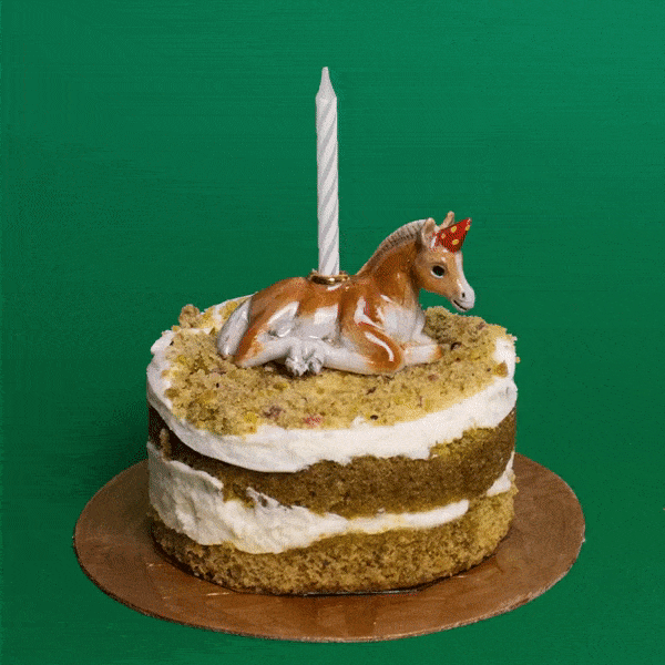 Horse Cake Topper