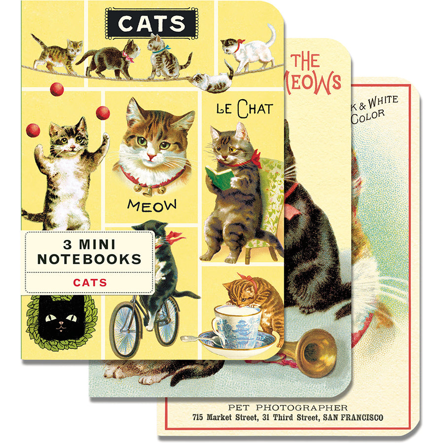 Cats Mini Notebooks