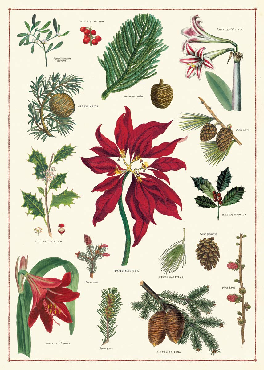 Christmas Botanica | Gift Wrap Sheet 20" x 28"
