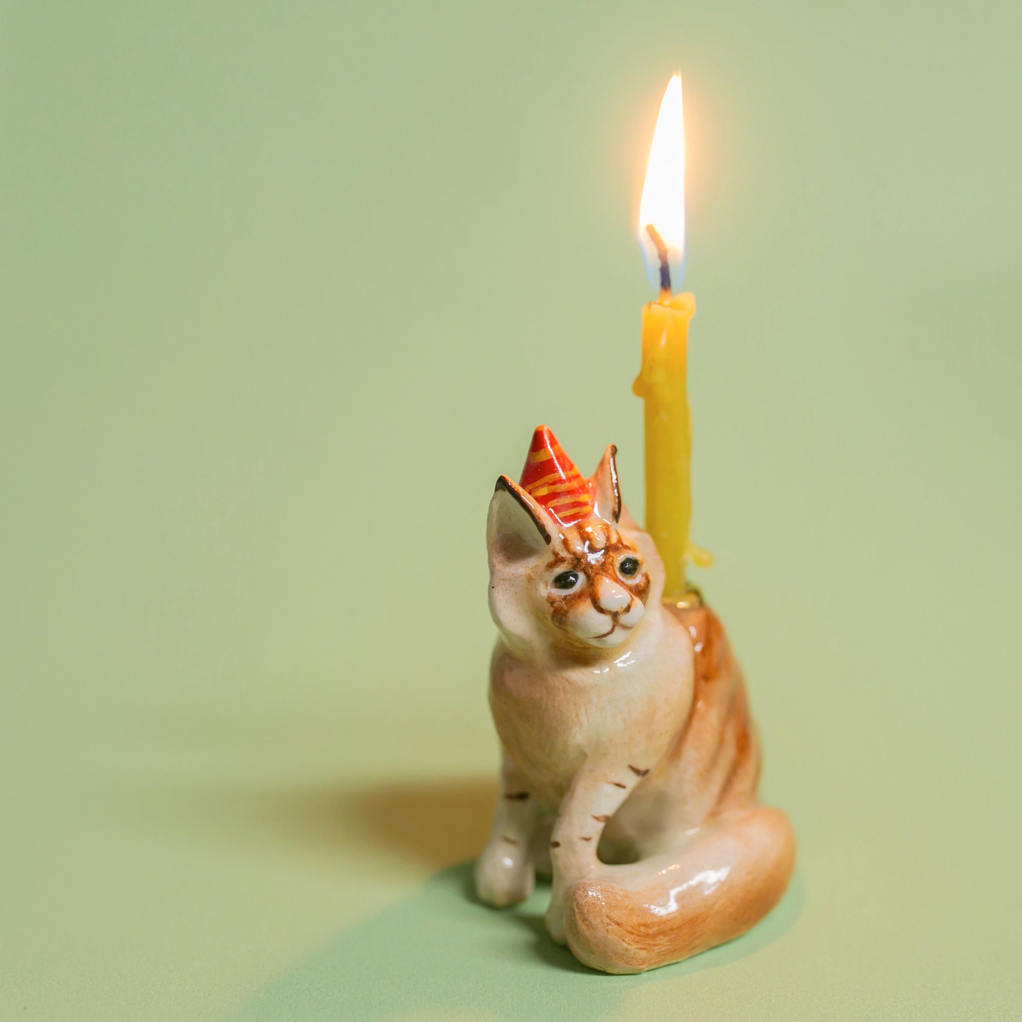 Maine Coon Cat Cake Topper