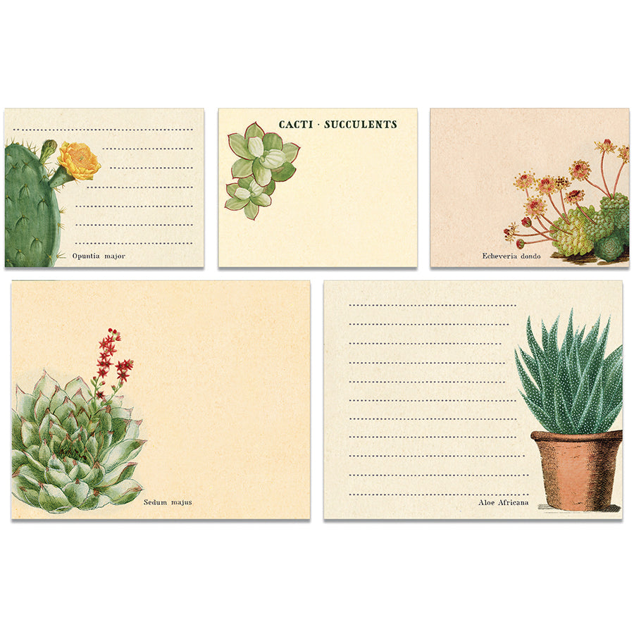 Cacti & Succulents Sticky Notes