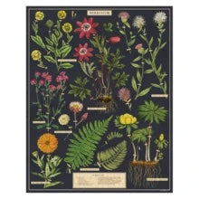 Herbarium 1,000 Piece Puzzle