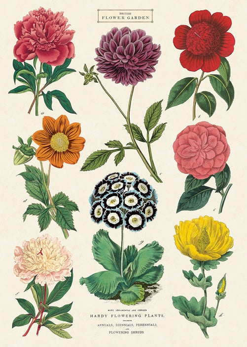 Botanica 2 Poster/Wrap