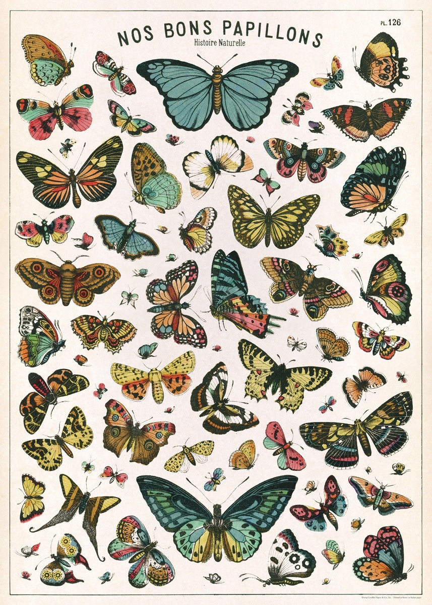 Butterfly Chart Papillons Poster/Wrap