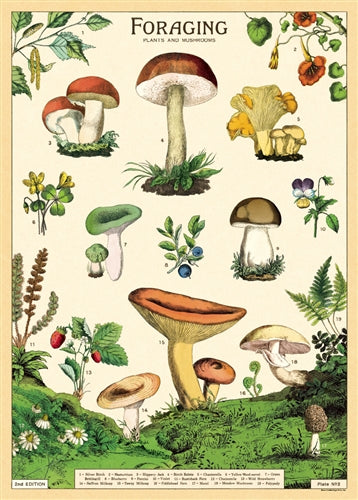Forage Poster/Wrap