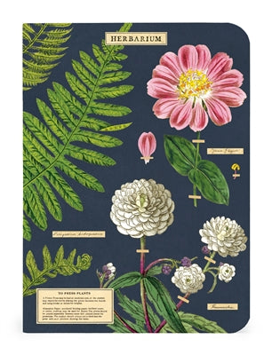 Herbarium Mini Notebooks